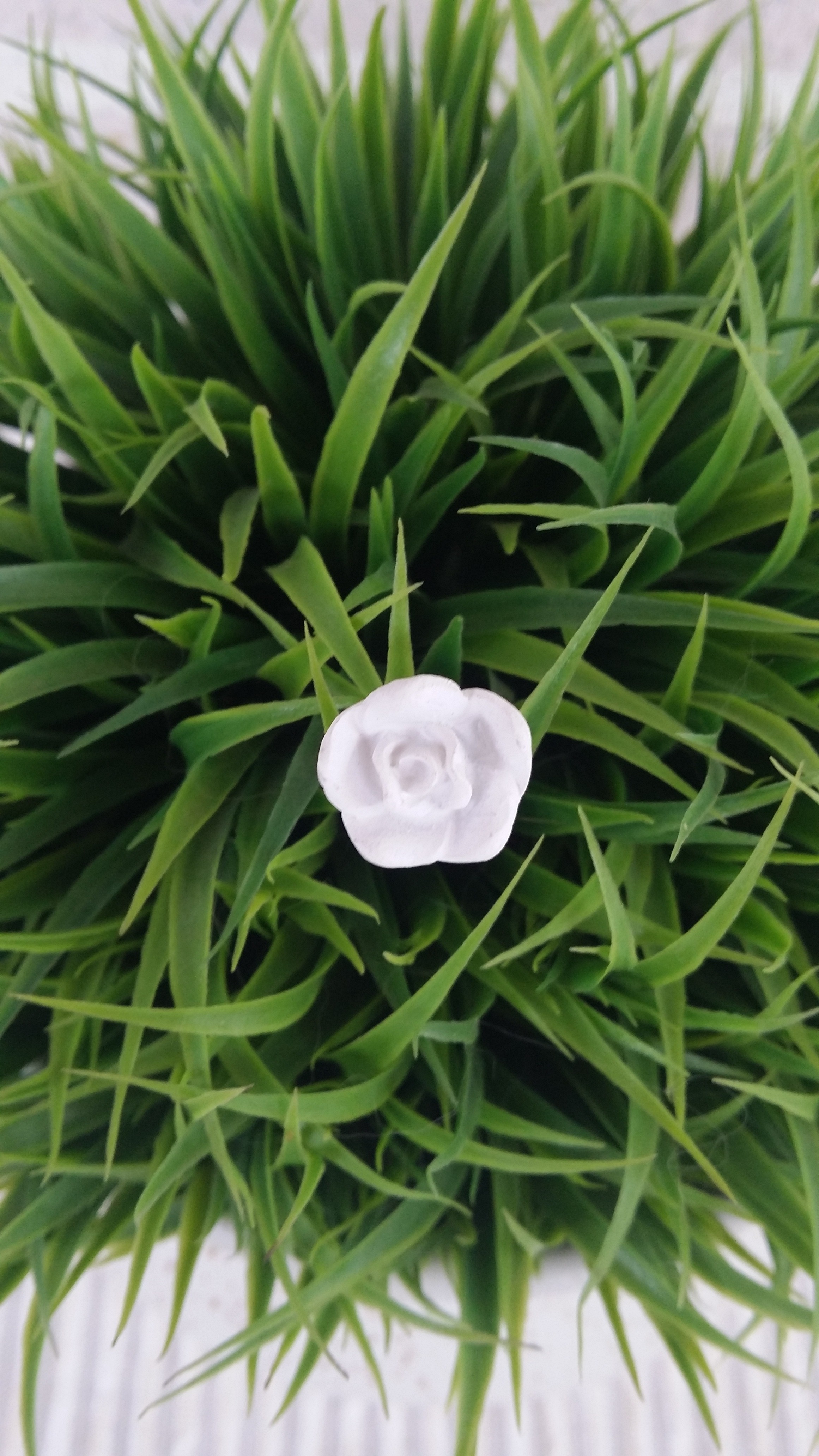 Rosnål, 1,5cm