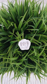 Rosnål, 1,5cm