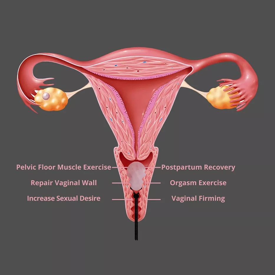 Atirgulning rasmini yuklab oling Transseksuallar tomonidan sikilgan qizlar porno video