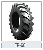 16.9-38 Starmaxx 8Pr TR-60 