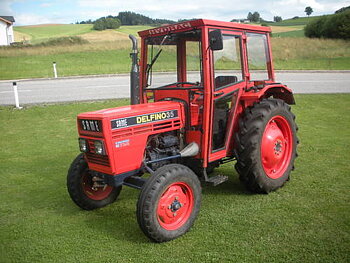 Delfino35