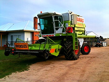 Dominator116CS