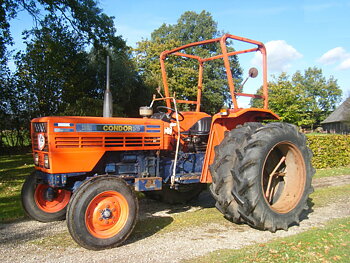 Condor55