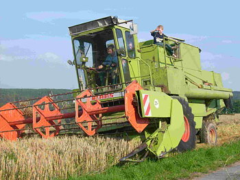 Dominator100