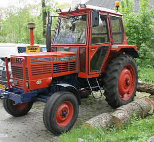 Leopord85