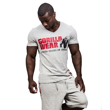 Utah V-Neck Tee, grey