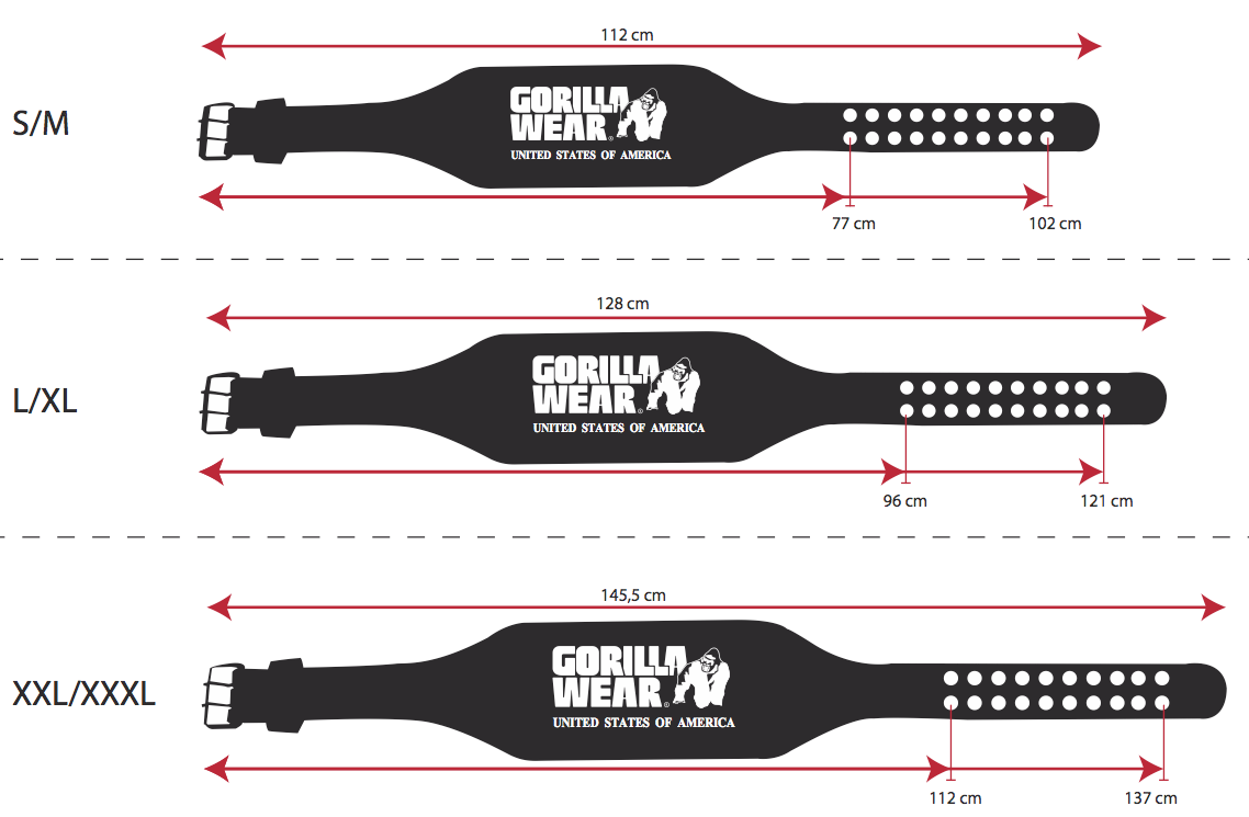 6 Inch Padded Leather Belt, black/gold - 2