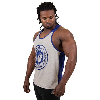 Roswell Tank Top, grey/navy