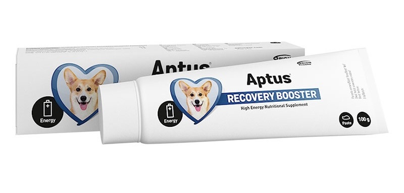 Aptus recovery booster dog 