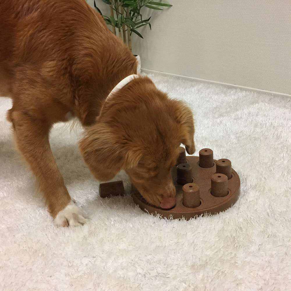 Dog Smart Interactive Treat Puzzle Dog Toy (Orange) - Felix & Fido