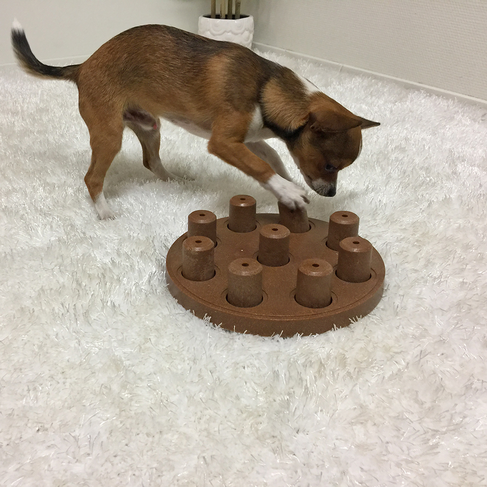 Outward Hound - Dog Smart Dog Game - Level 1