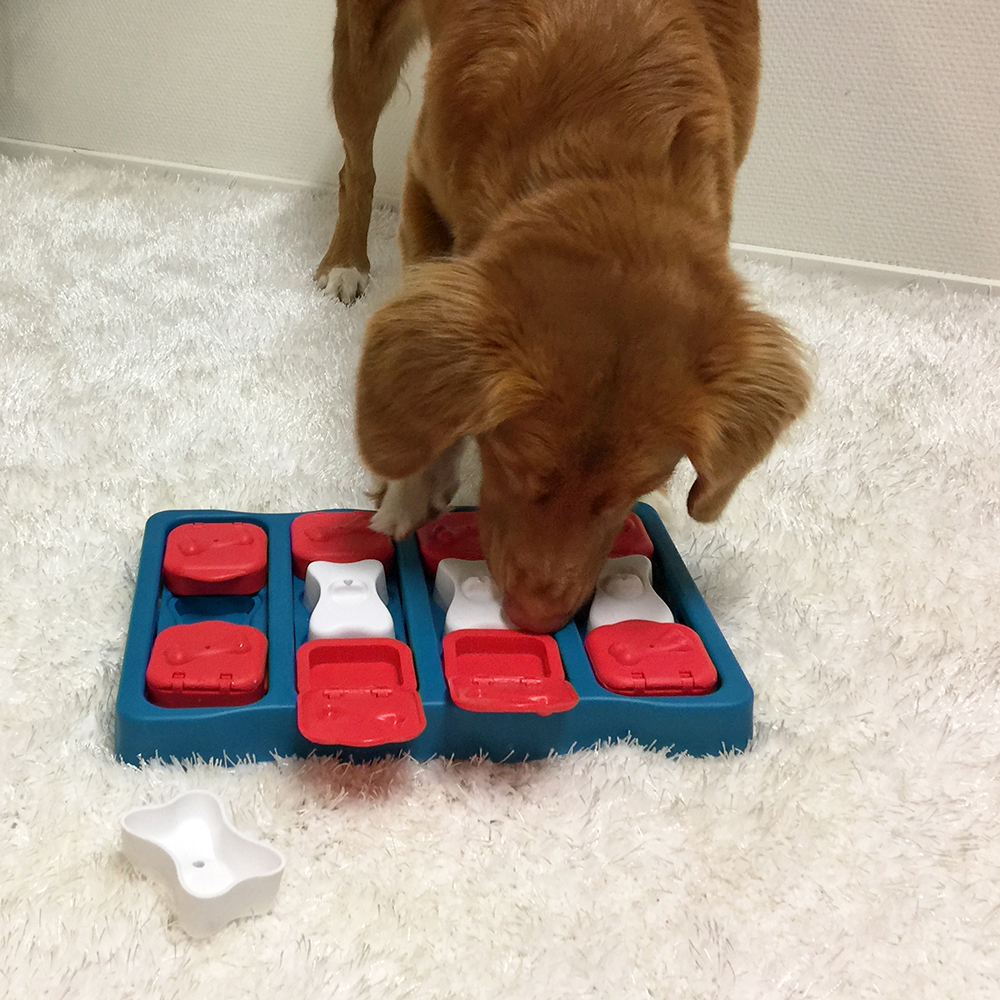 Nina Ottosson Dog Puzzle Toy Interactive Treat Dispenser, Dog Brick -  Modern Pets