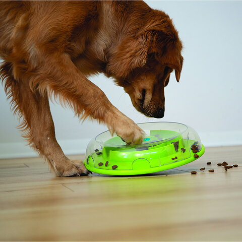 WOBBLE BOWL - SLOW FEEDER & DOG PUZZLE IN ONE - Nina Ottosson Treat ...