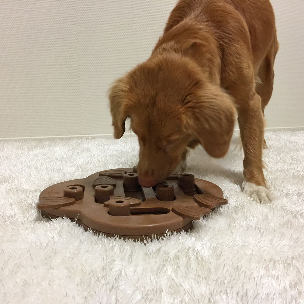 Nina Ottosson Hide N' Slide Interactive Dog Treat Puzzle Toy, Level 2 —  Ellington Agway