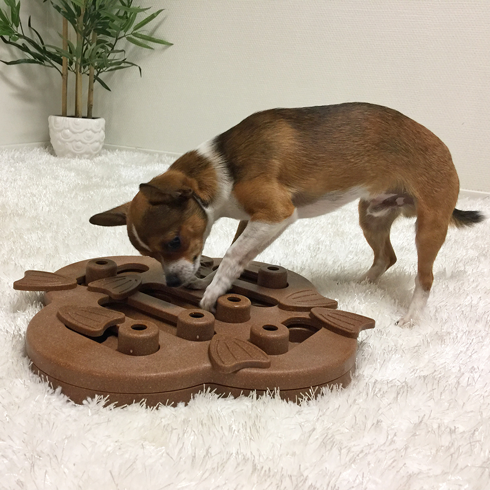 Nina Ottosson Puppy Hide N' Slide Interactive Treat Puzzle Dog Toy - Green