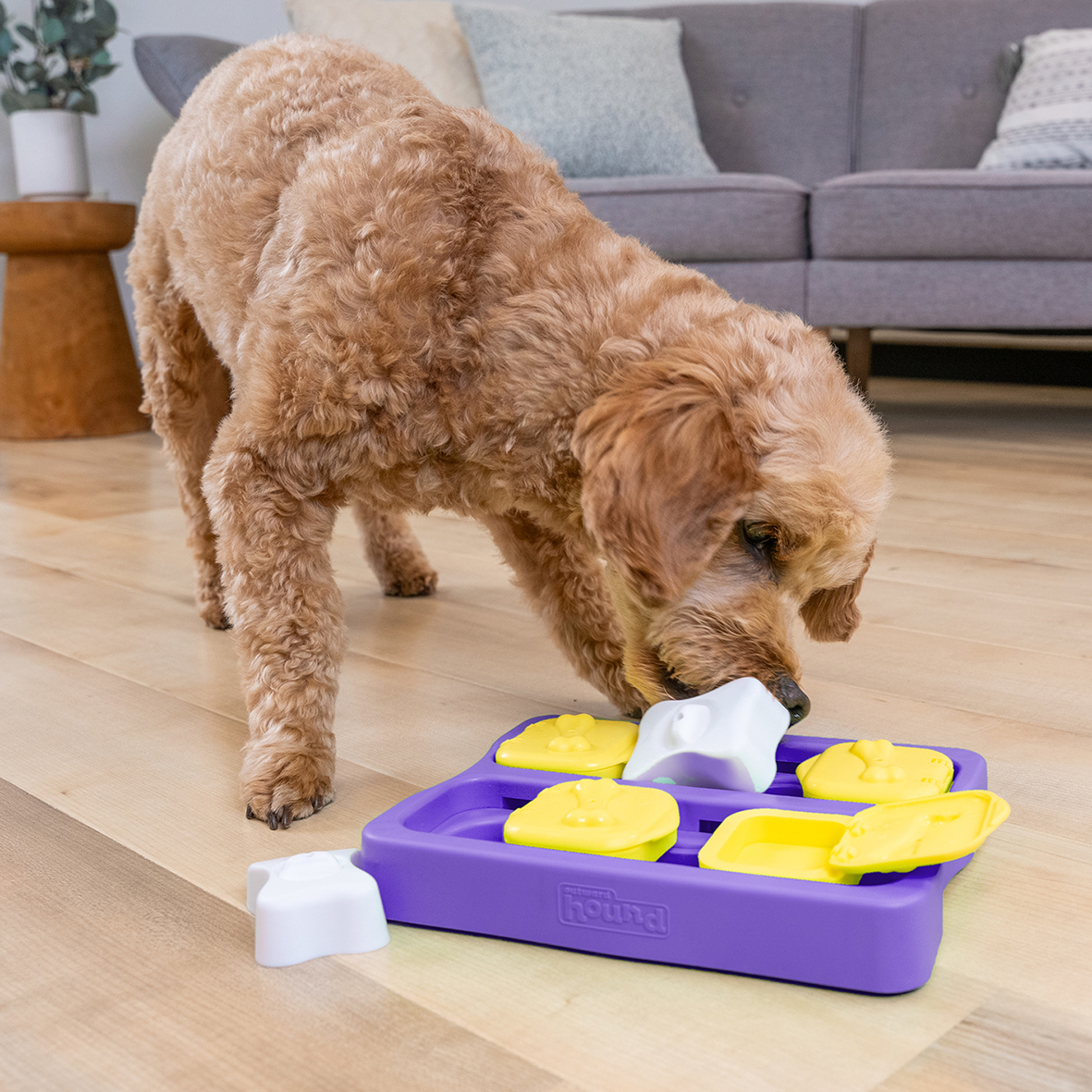 DOG BRICK SMALL - Nina Ottosson Treat Puzzle Games for Dogs & Cats