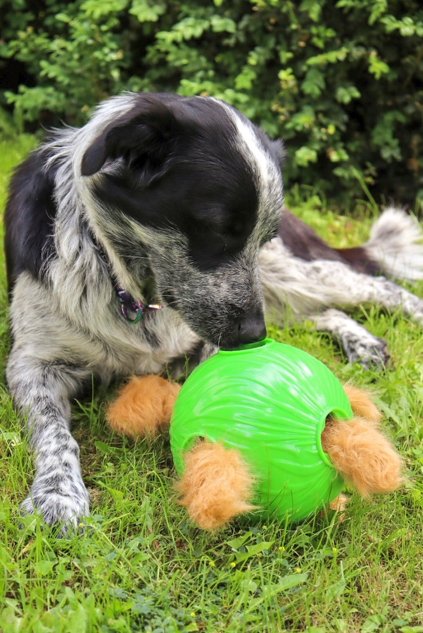 Snuffle Ball Dog Toy  Nom Nom Pet Treats – Nom Nom Pet Treats