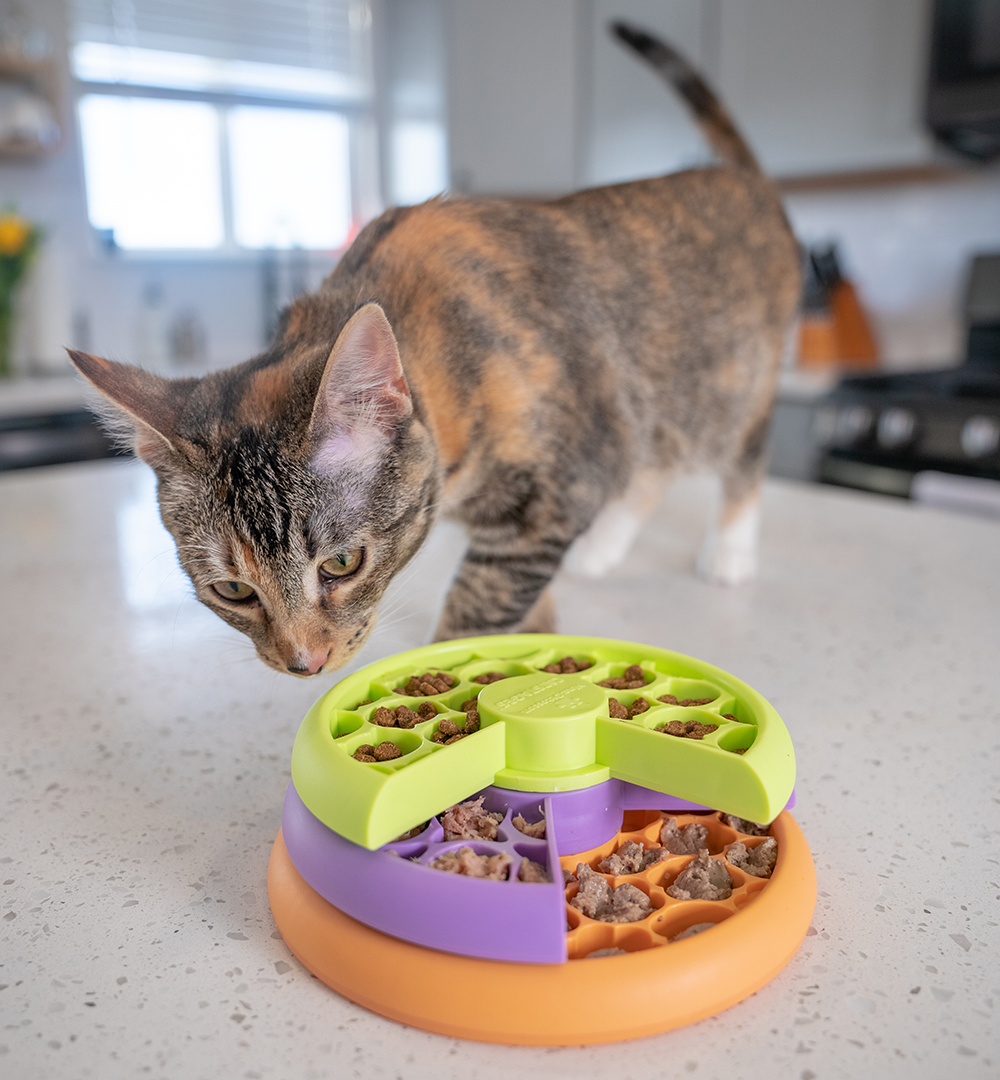 KITTY LICKIN' LAYERS - CAT PUZZLE & FEEDER IN ONE - Nina Ottosson Treat  Puzzle Games for Dogs & Cats