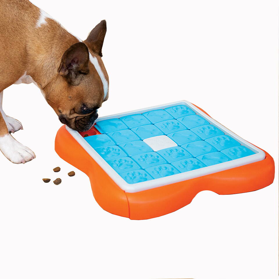 Dog puzzle games & toys Nina Ottosson Treat Puzzle Games for Dogs & Cats