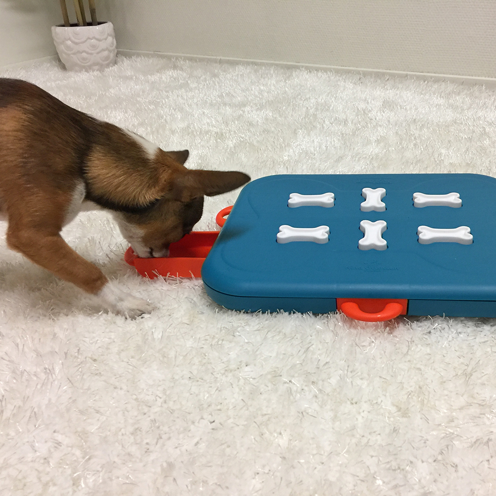 Photos & Reviews - Nina Ottosson Treat Puzzle Games for Dogs & Cats