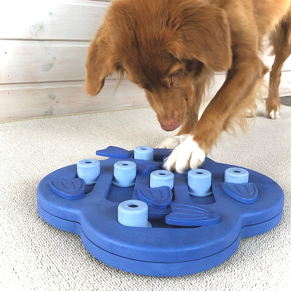 Nina Ottosson Dog Hide N' Slide - Composite, Intelligence Toy