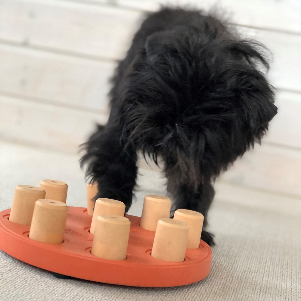 DOG SMART - Nina Ottosson Treat Puzzle Games for Dogs & Cats
