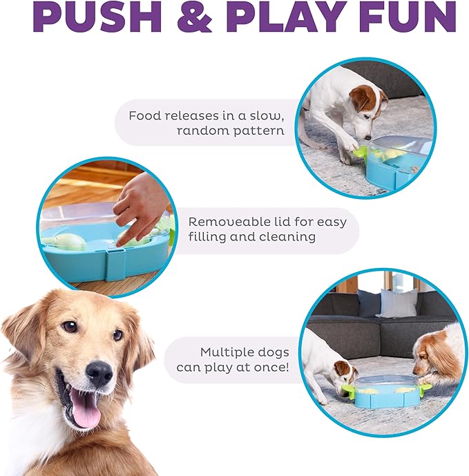 PAW N' PLAY - 6