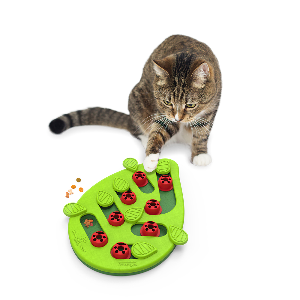 Photos & Reviews - Nina Ottosson Treat Puzzle Games for Dogs & Cats