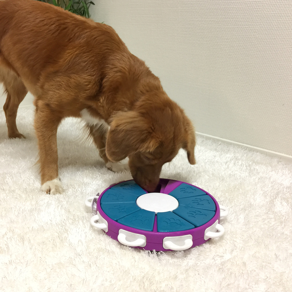 Outward Hound, Dog, Nina Ottosson By Outward Hound Dog Twister  Interactive Treat Puzzle Dog Toy L 3