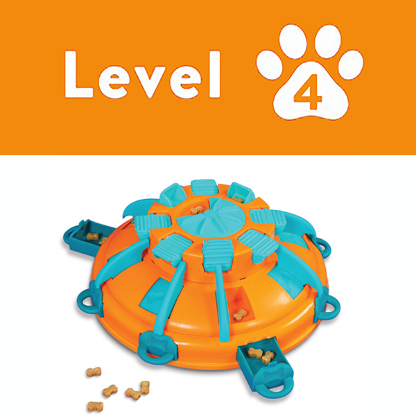  Level 4 