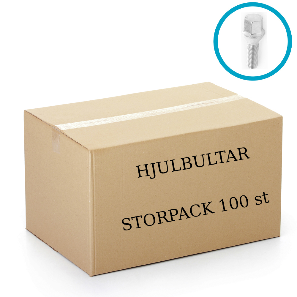 Hjulbultar verkstadspaket 100st - 2