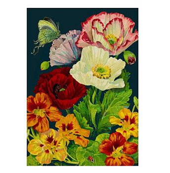 Double Card Midnight Poppies.