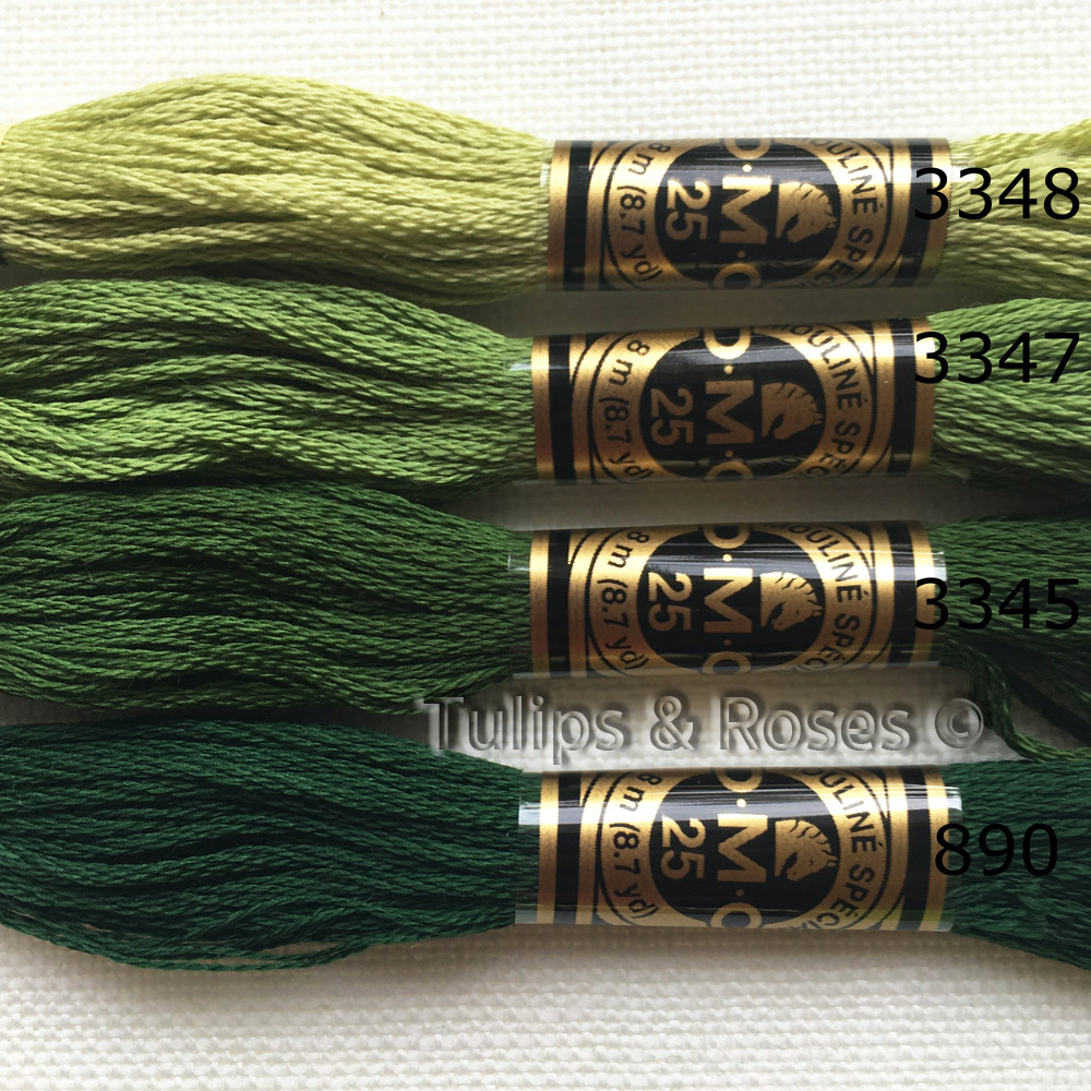  DMC Special 25 Mouliné Stranded cotton Gren hues - 8