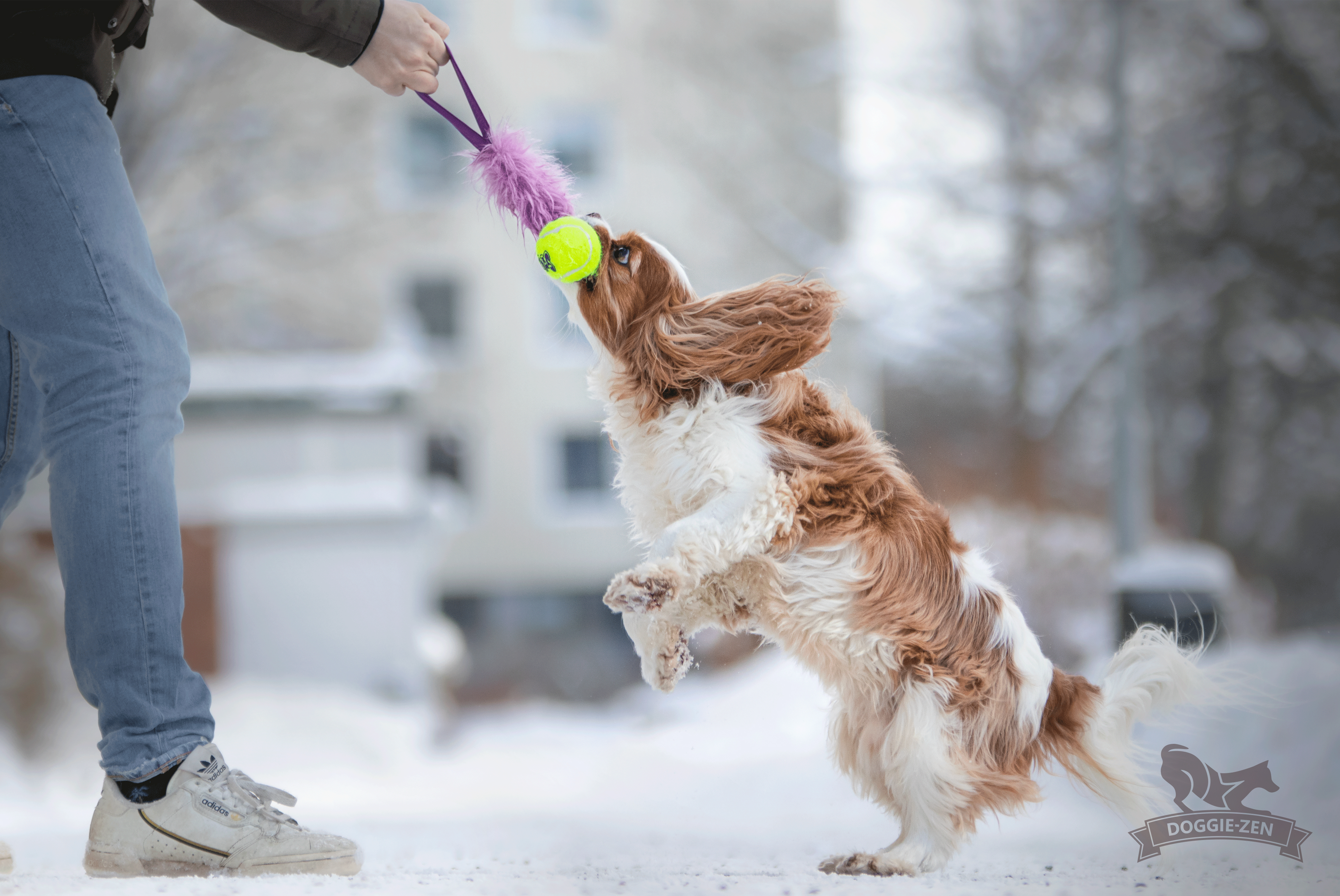 Fickkampis fuskpäls med KONG Air pipboll - 2