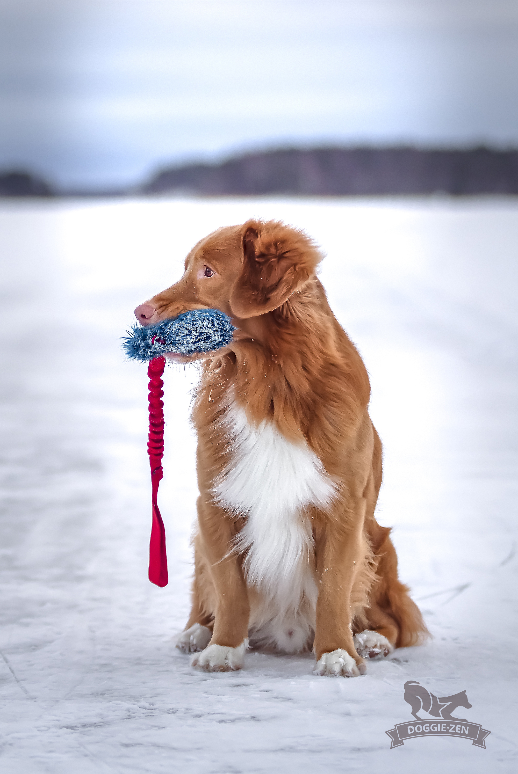 Bungee Crinkle-n-Treat Tug Fake Fur M - 10