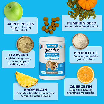 Glandex Soft Chew 120 bitar