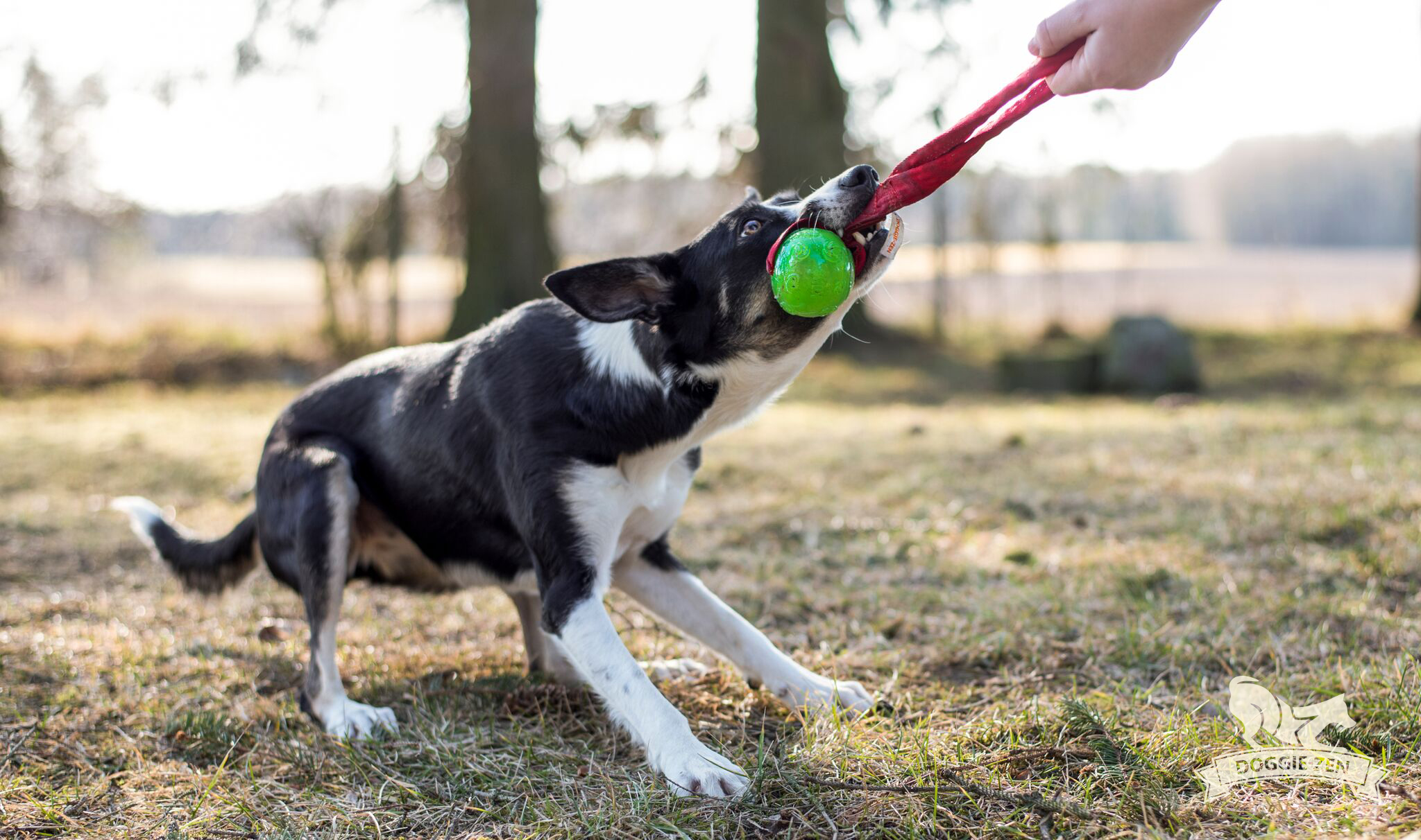 Bungee KONG Squeezz Pocket Tug