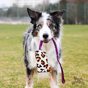 Bungee Crinkle-n-Treat Pouch