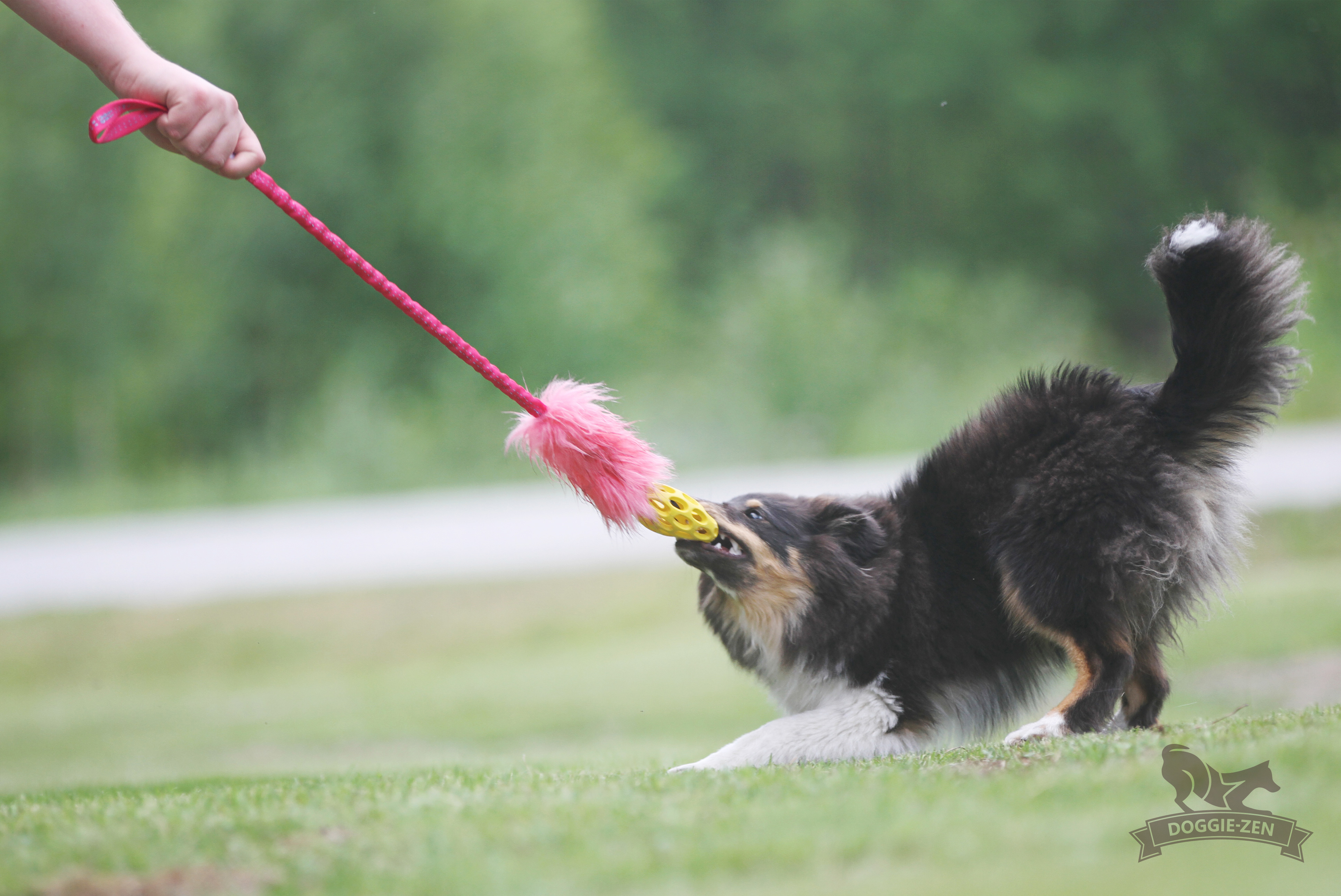 Bungee Fake Fur Tug S with Hol-ee Football - 14