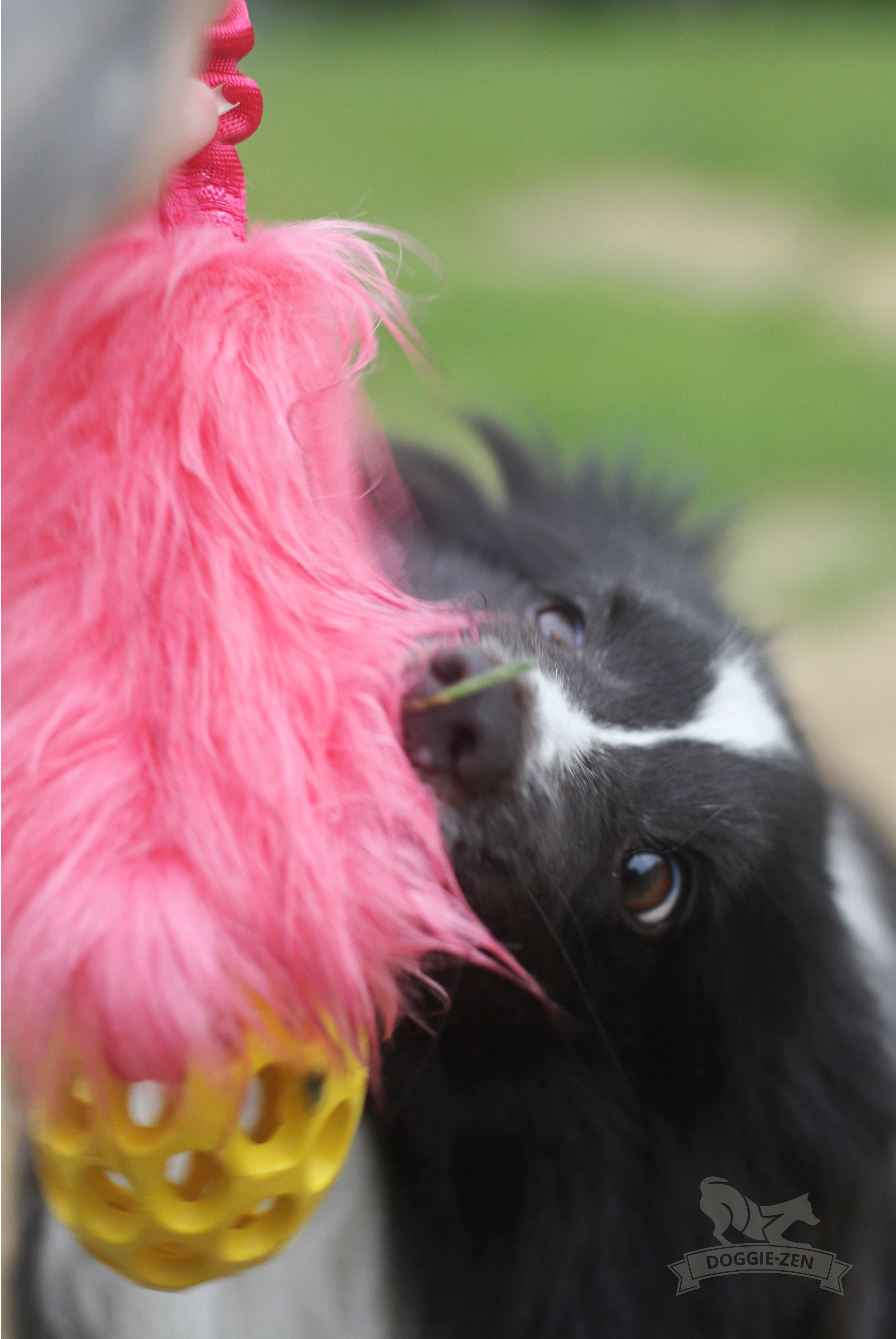 Bungee Fake Fur Tug S with Hol-ee Football - 20