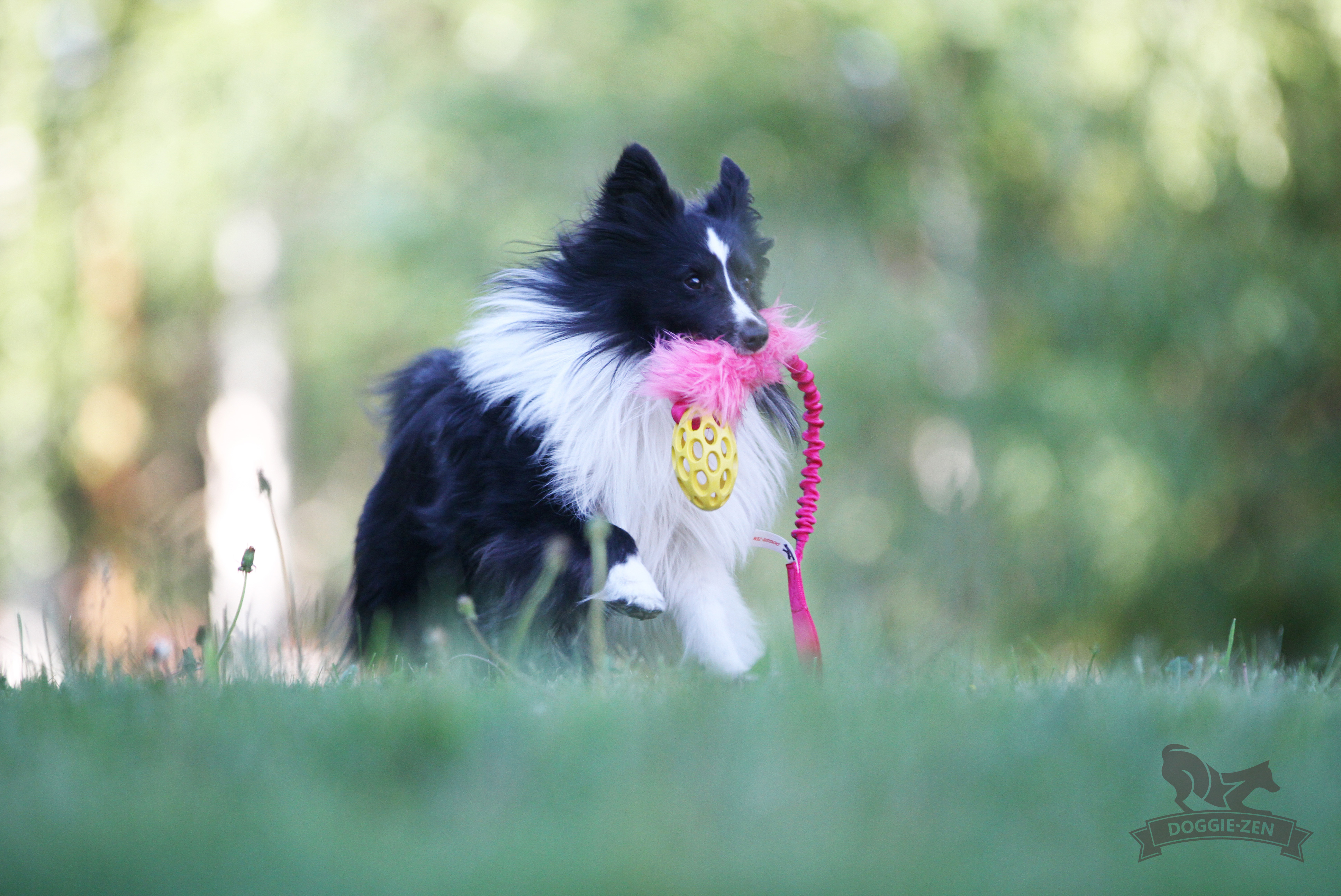 Bungee Fake Fur Tug S with Hol-ee Football - 16