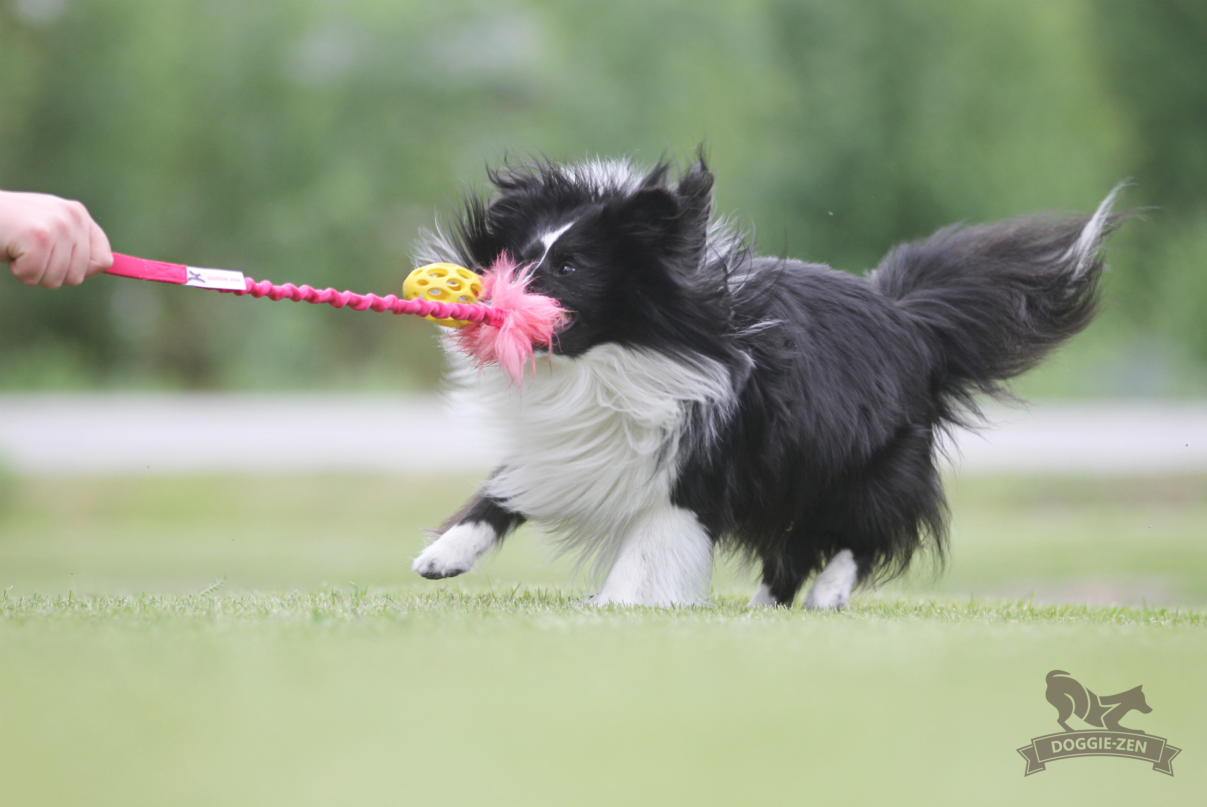 Bungee Fake Fur Tug S with Hol-ee Football - 9