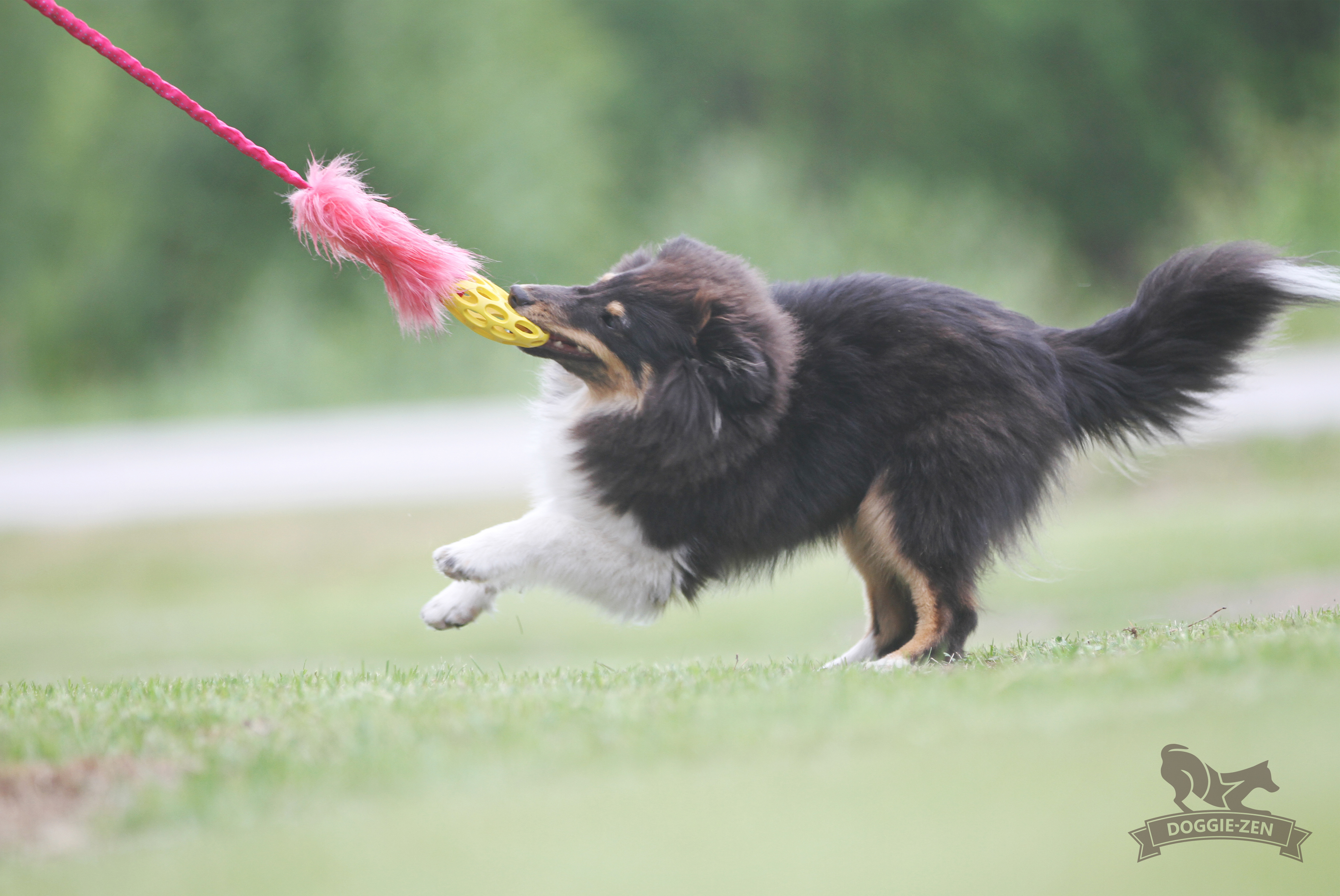 Bungee Fake Fur Tug S with Hol-ee Football - 15