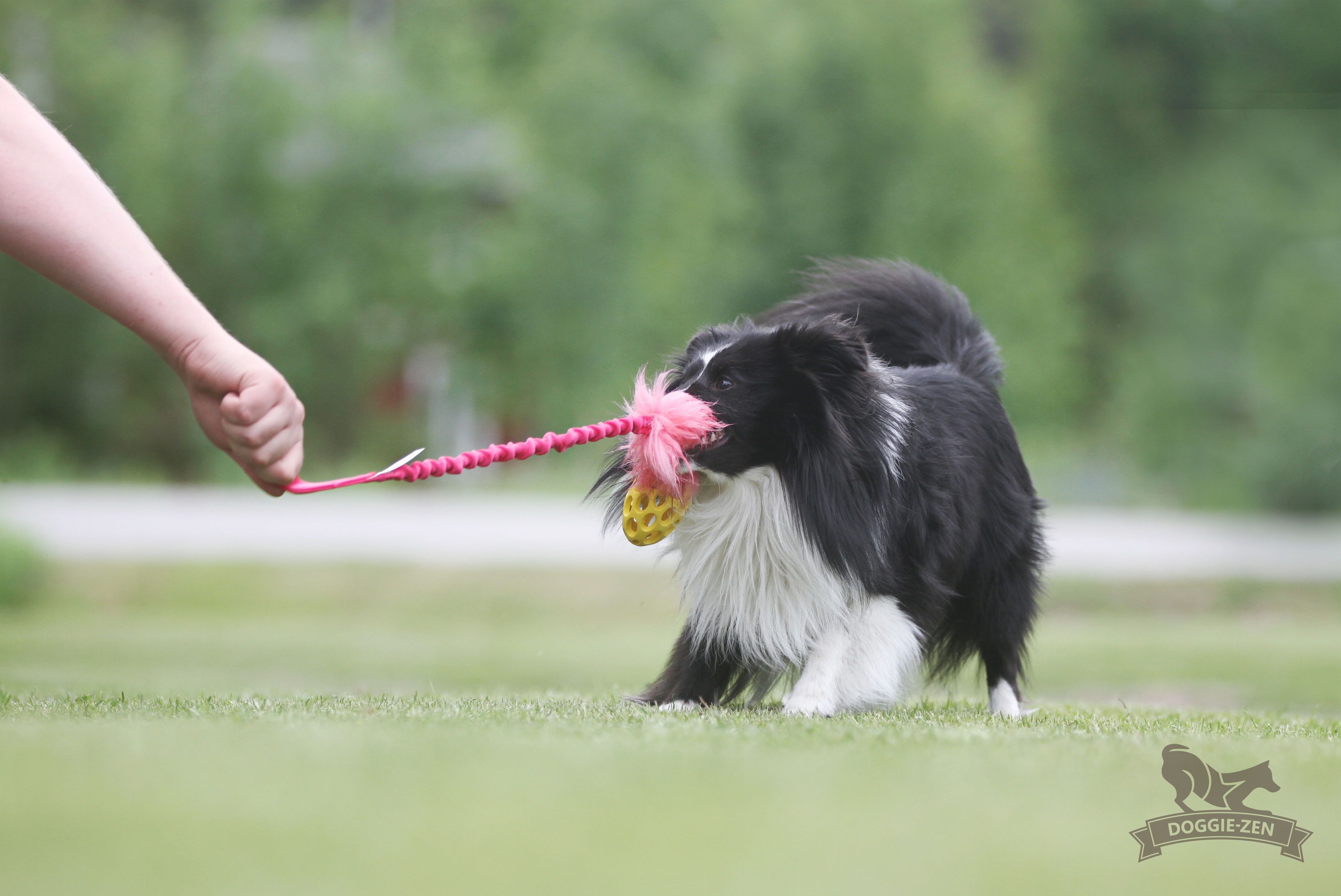 Bungee Fake Fur Tug S with Hol-ee Football - 7