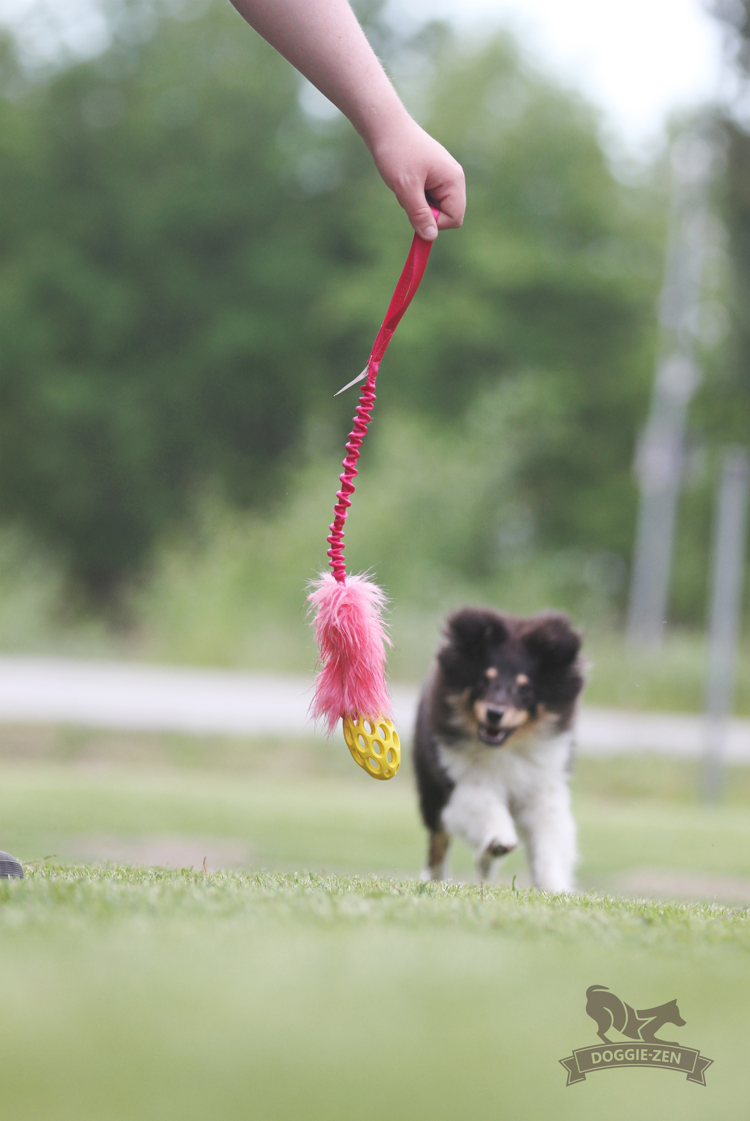 Bungee Fake Fur Tug S with Hol-ee Football - 5
