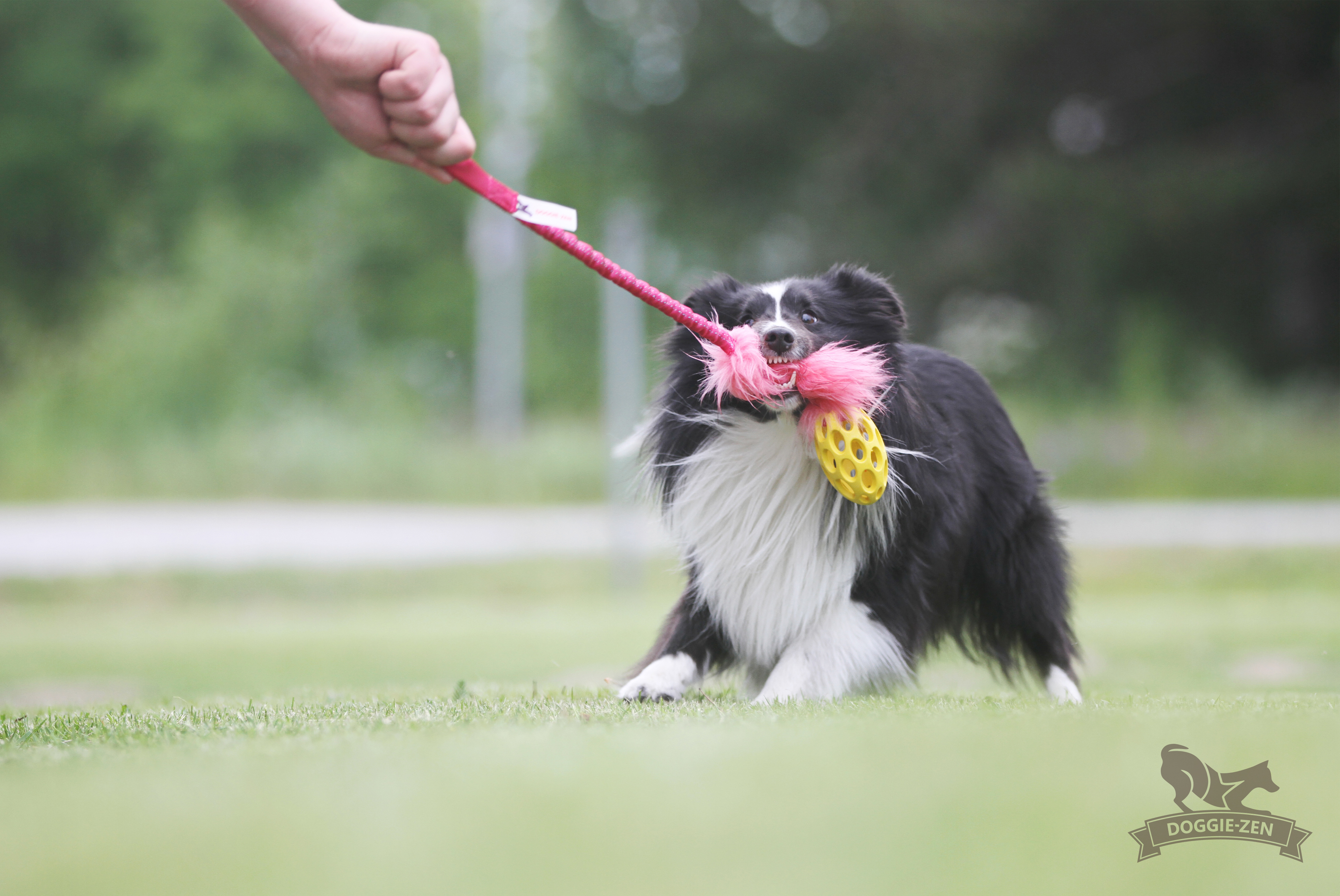 Bungee Fake Fur Tug S with Hol-ee Football - 6
