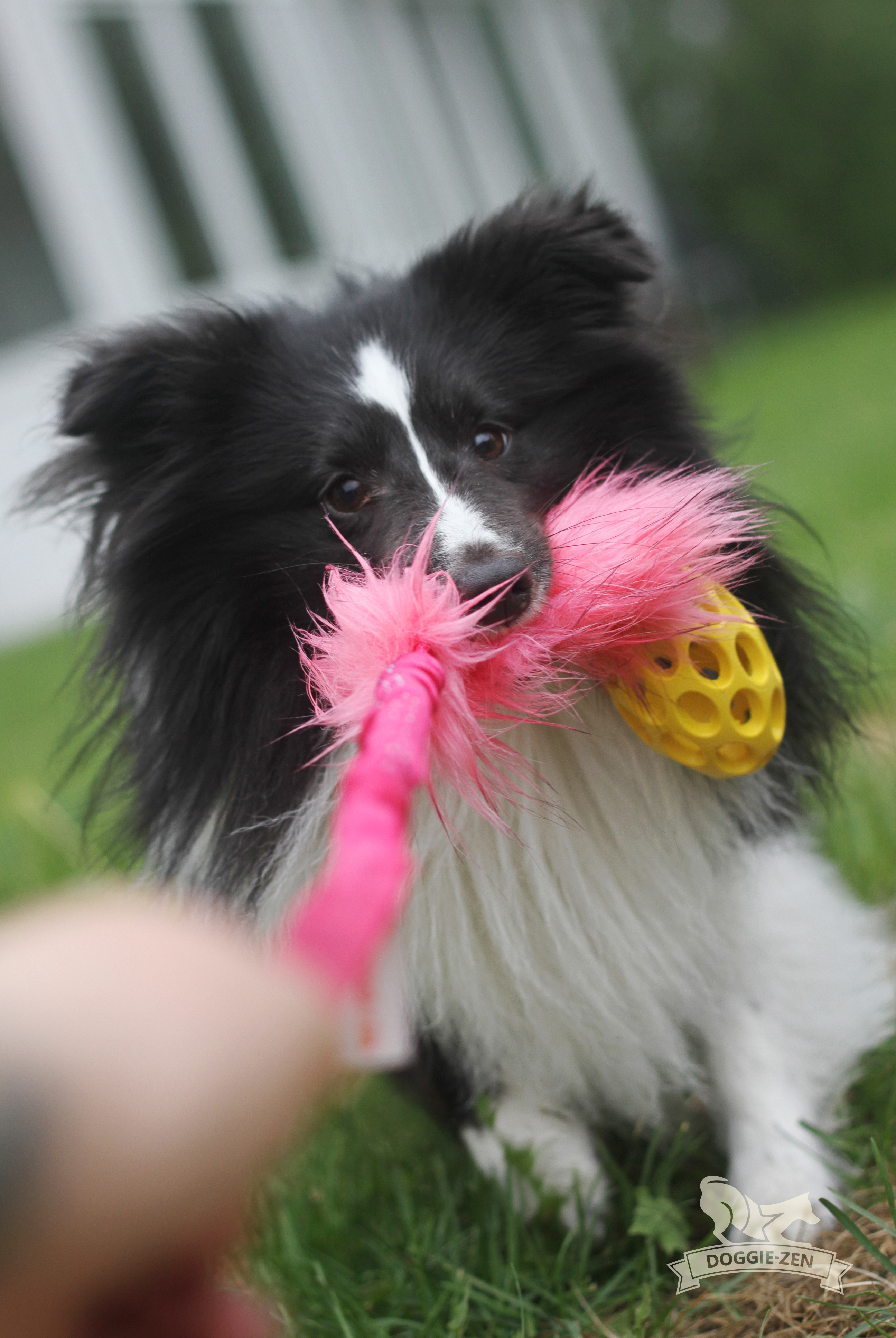 Bungee Fake Fur Tug S with Hol-ee Football - 12