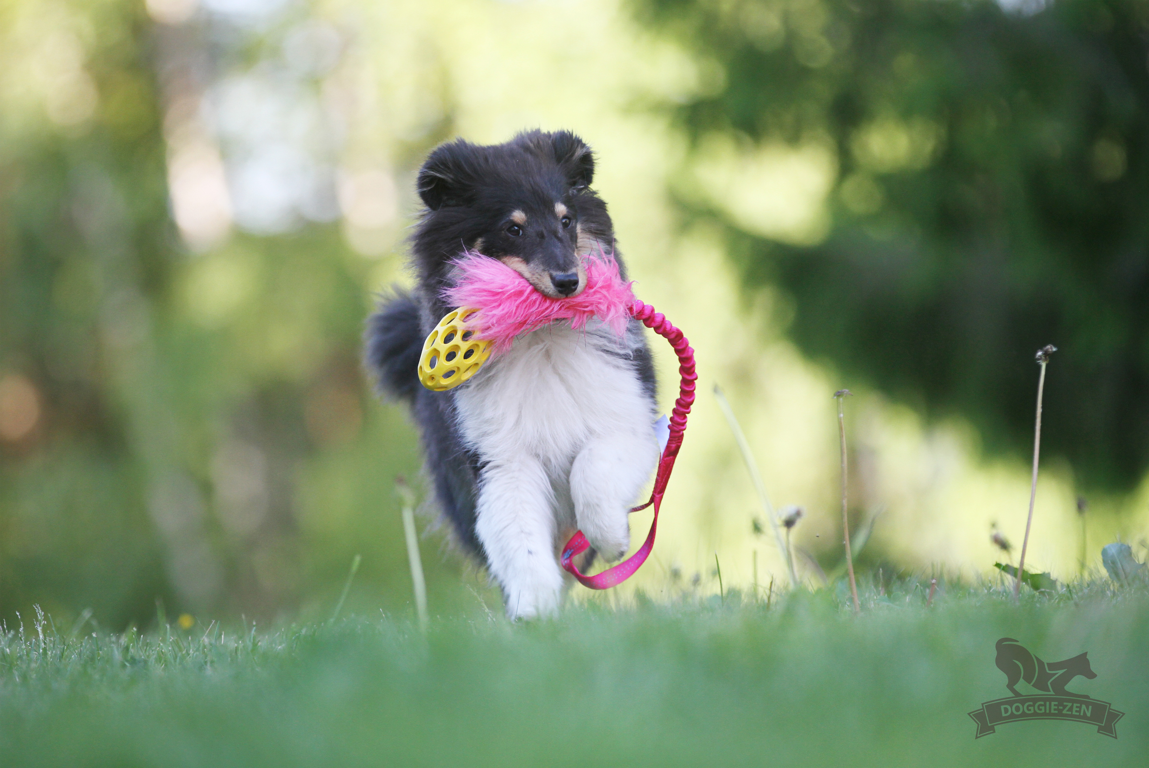 Bungee Fake Fur Tug S with Hol-ee Football - 19