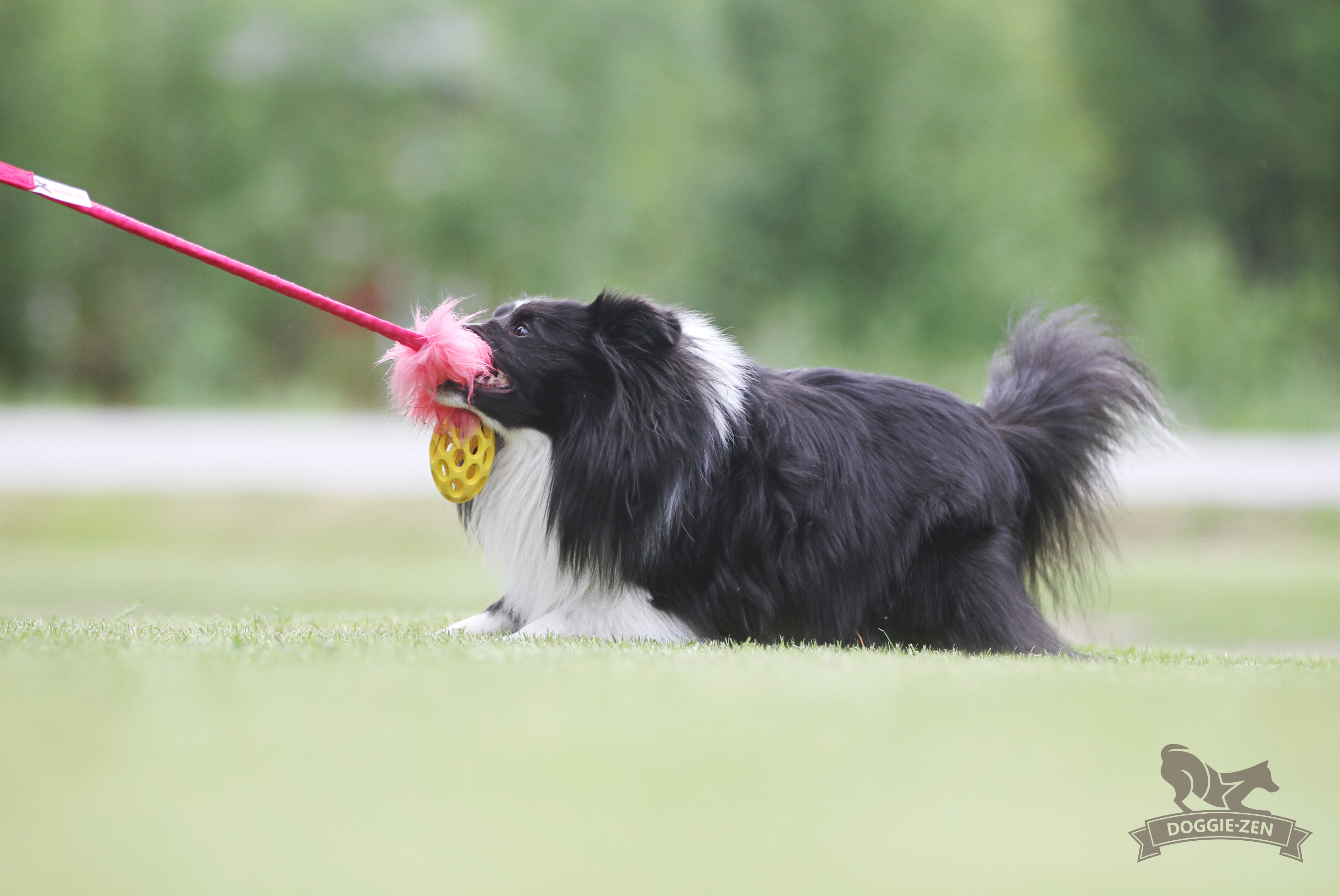 Bungee Fake Fur Tug S with Hol-ee Football - 8