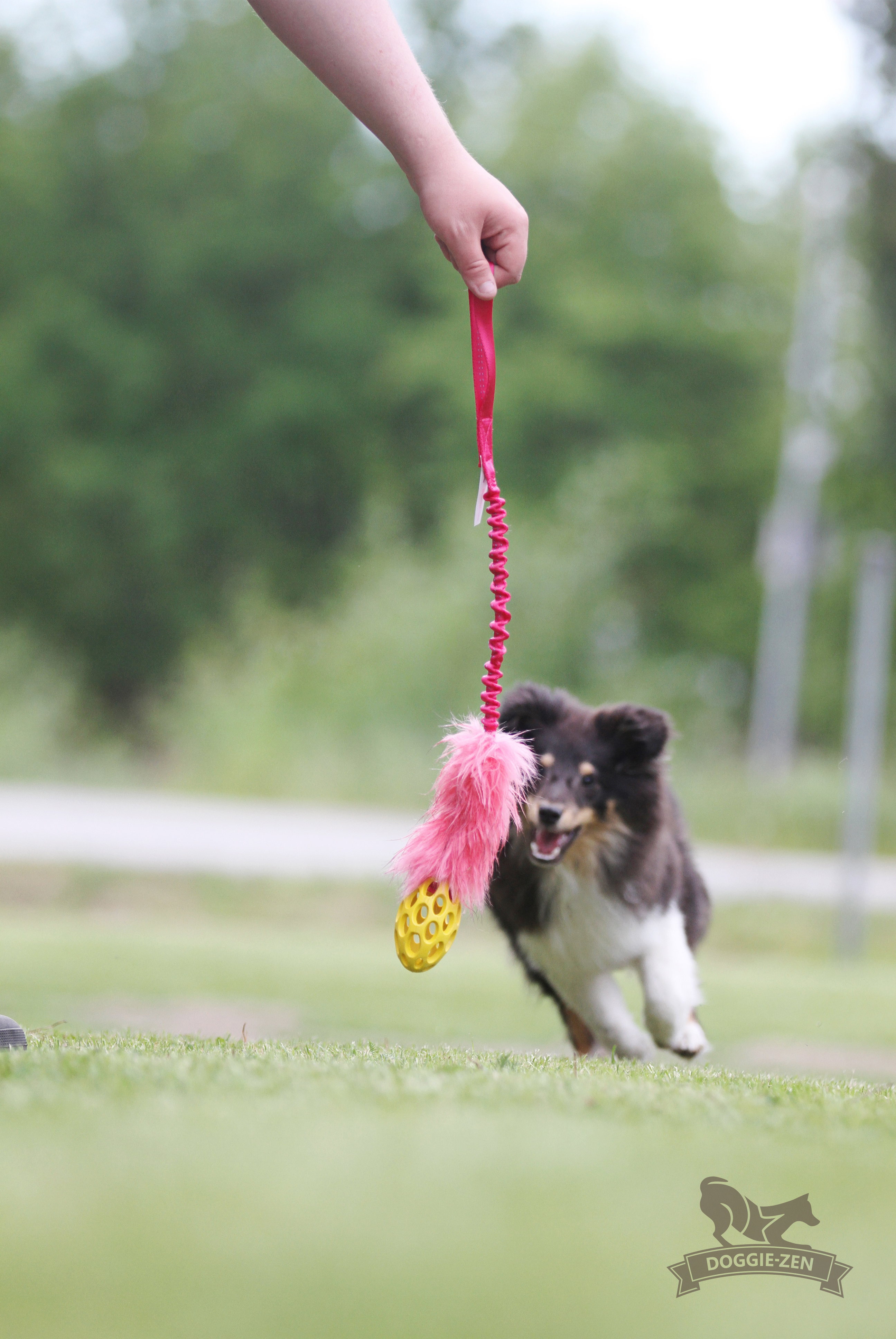 Bungee Fake Fur Tug S with Hol-ee Football - 4